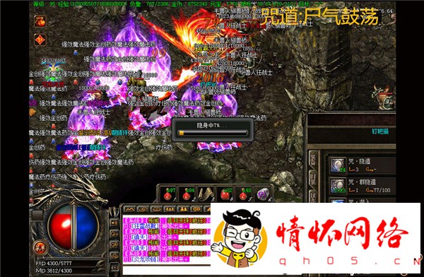 d8.jpg
