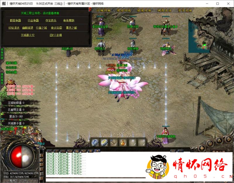 d13.jpg