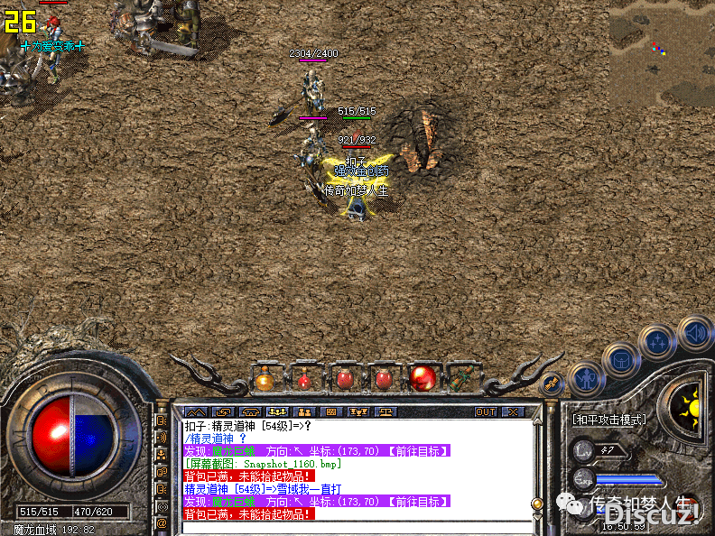 d5.jpg
