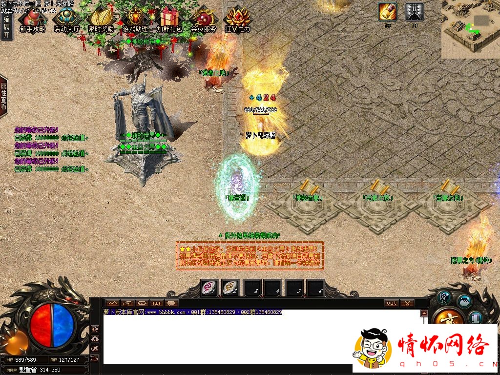 d5.jpg