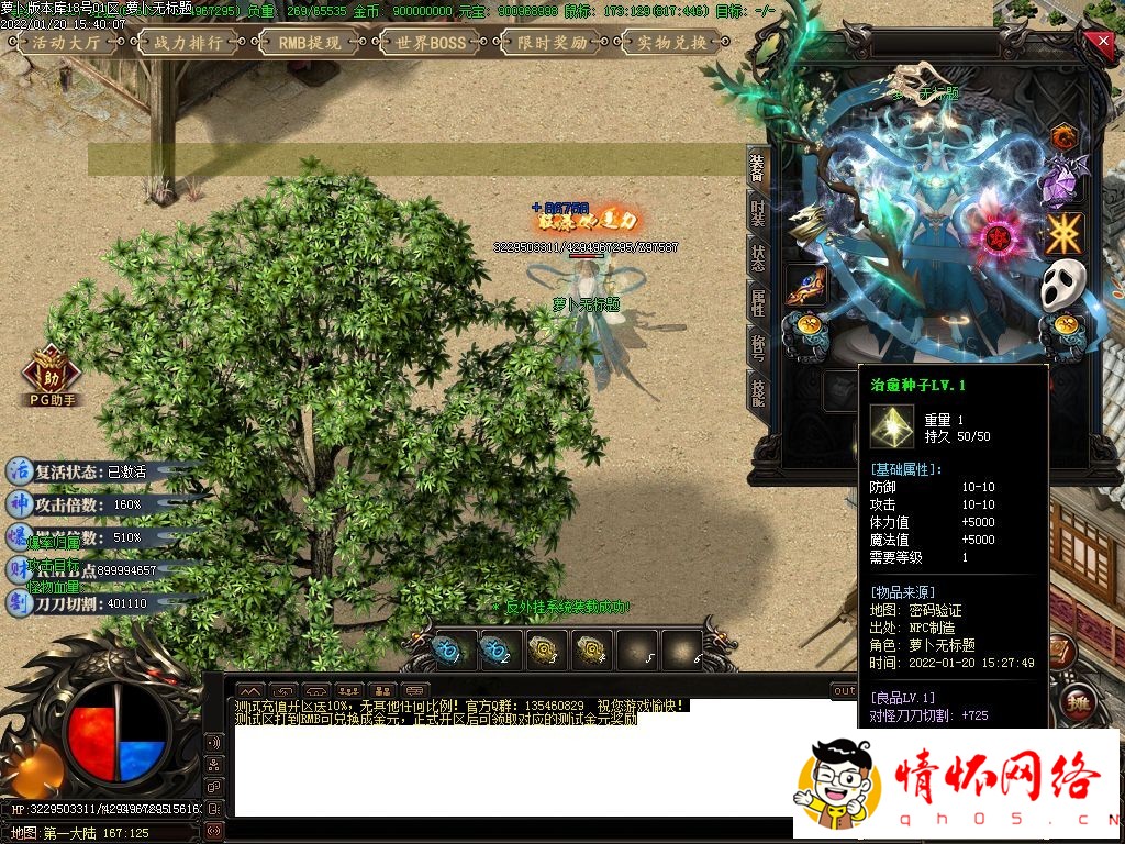 d33.jpg
