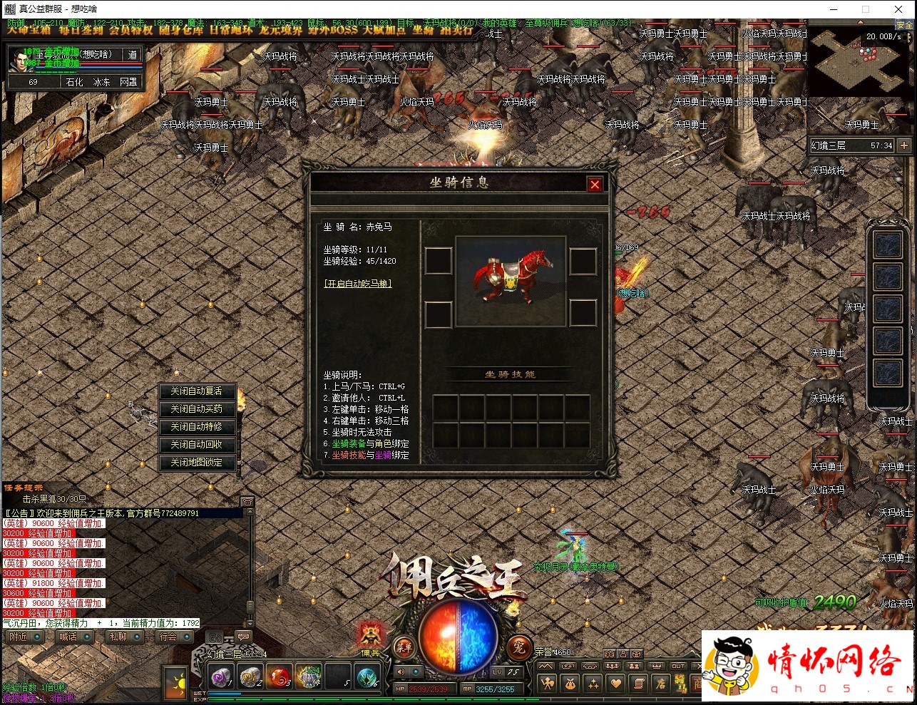 d1.jpg