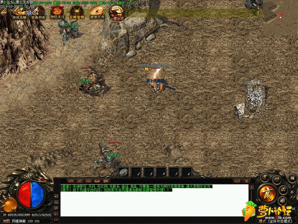 d6.jpg