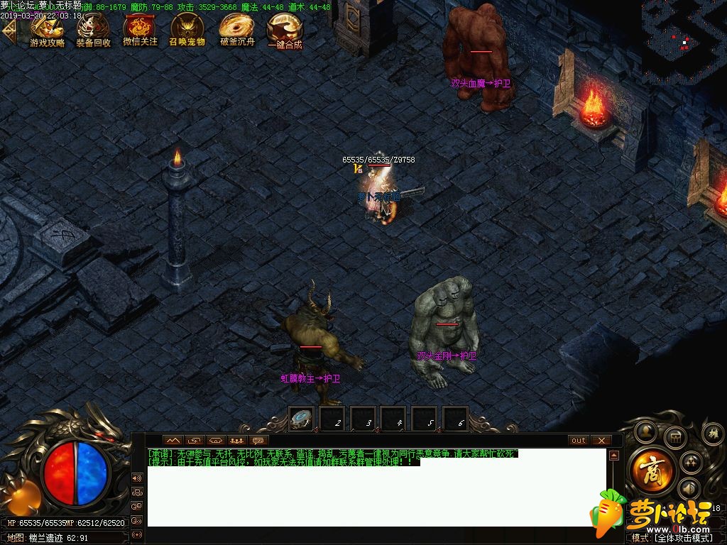 d15.jpg