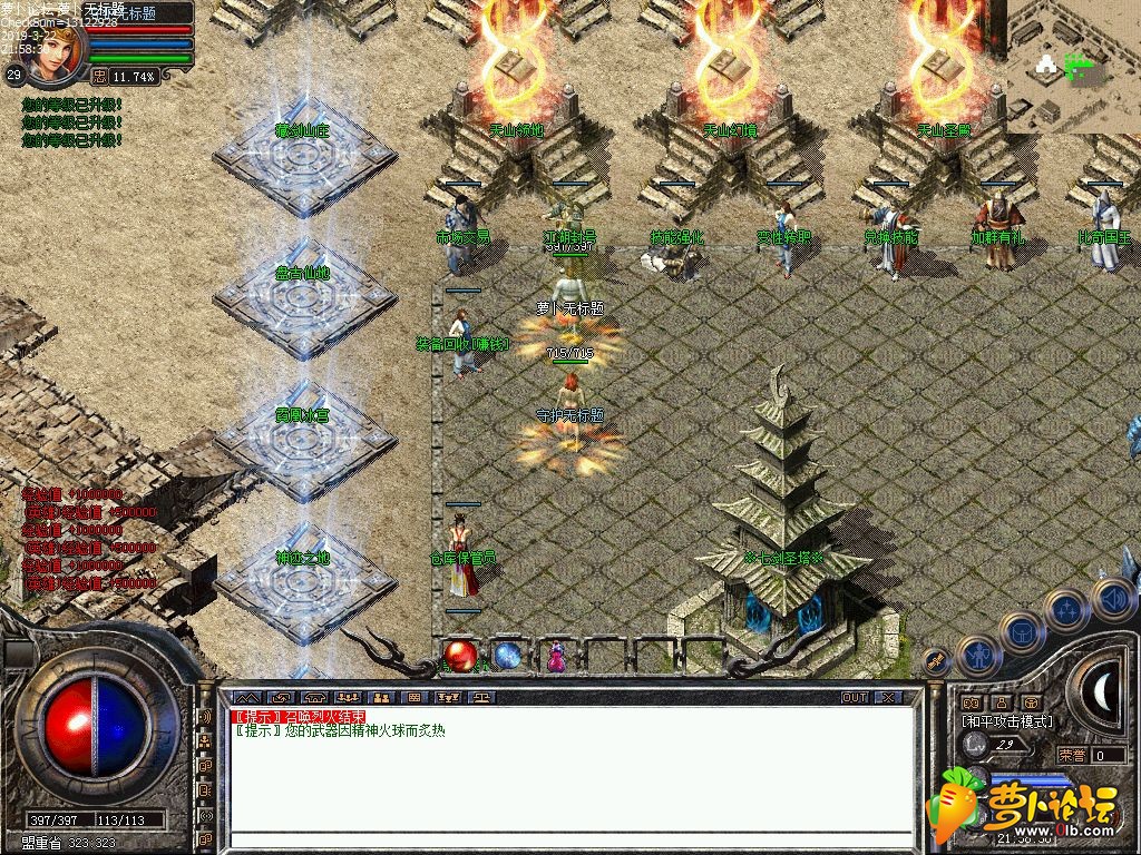 d3.jpg