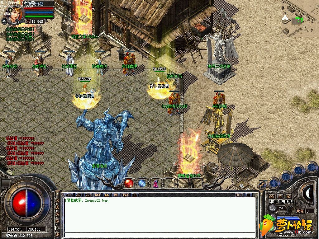d4.jpg