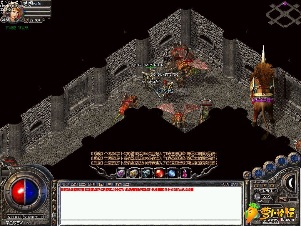 d8.jpg