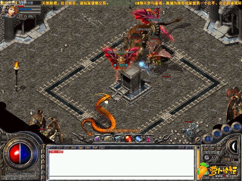 d24.jpg