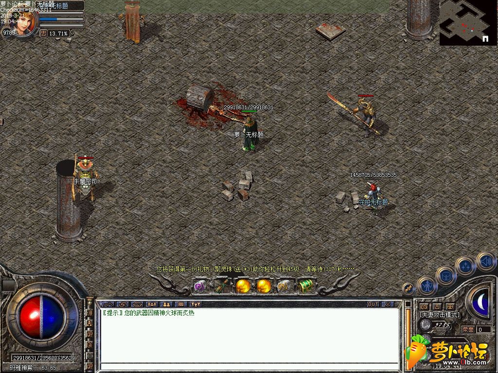 d9.jpg