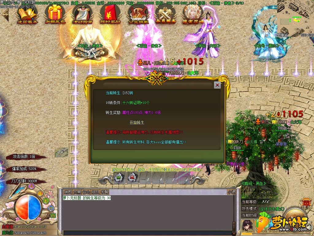 d13.jpg