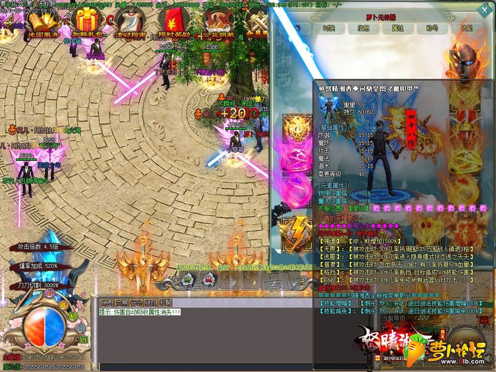 d19.jpg