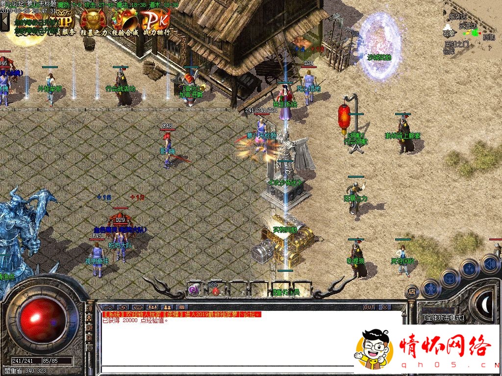 d5.jpg