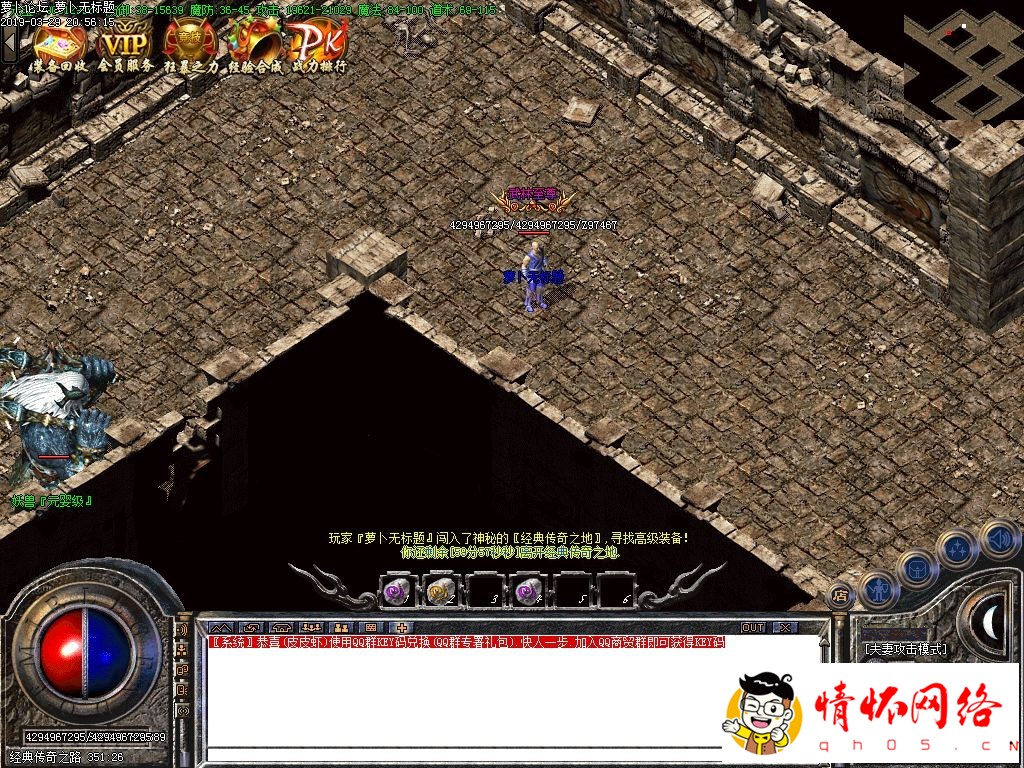 d11.jpg
