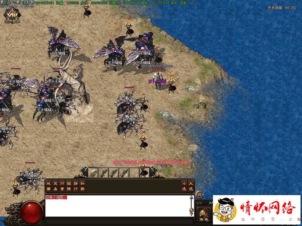 d11.jpg