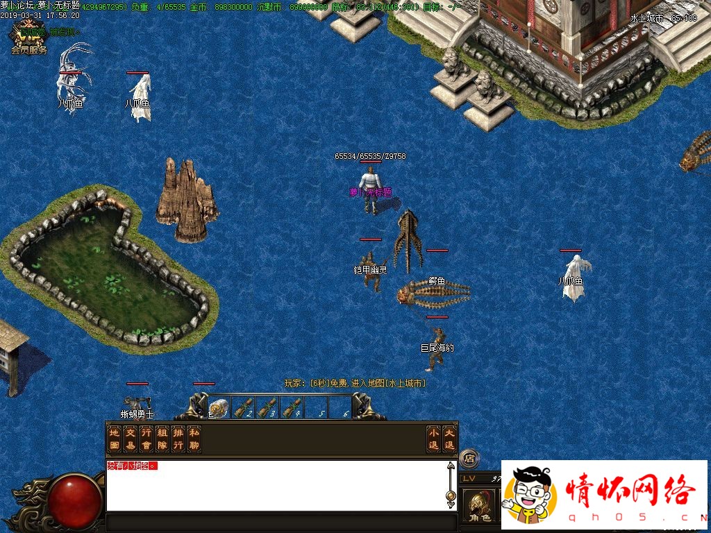 d13.jpg