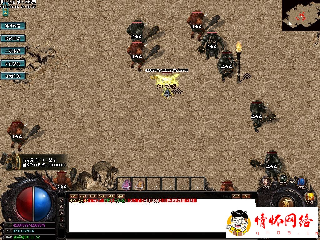 d9.jpg