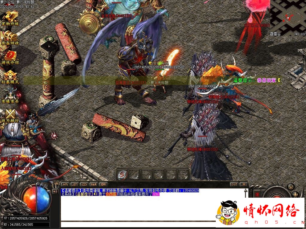 d13.jpg