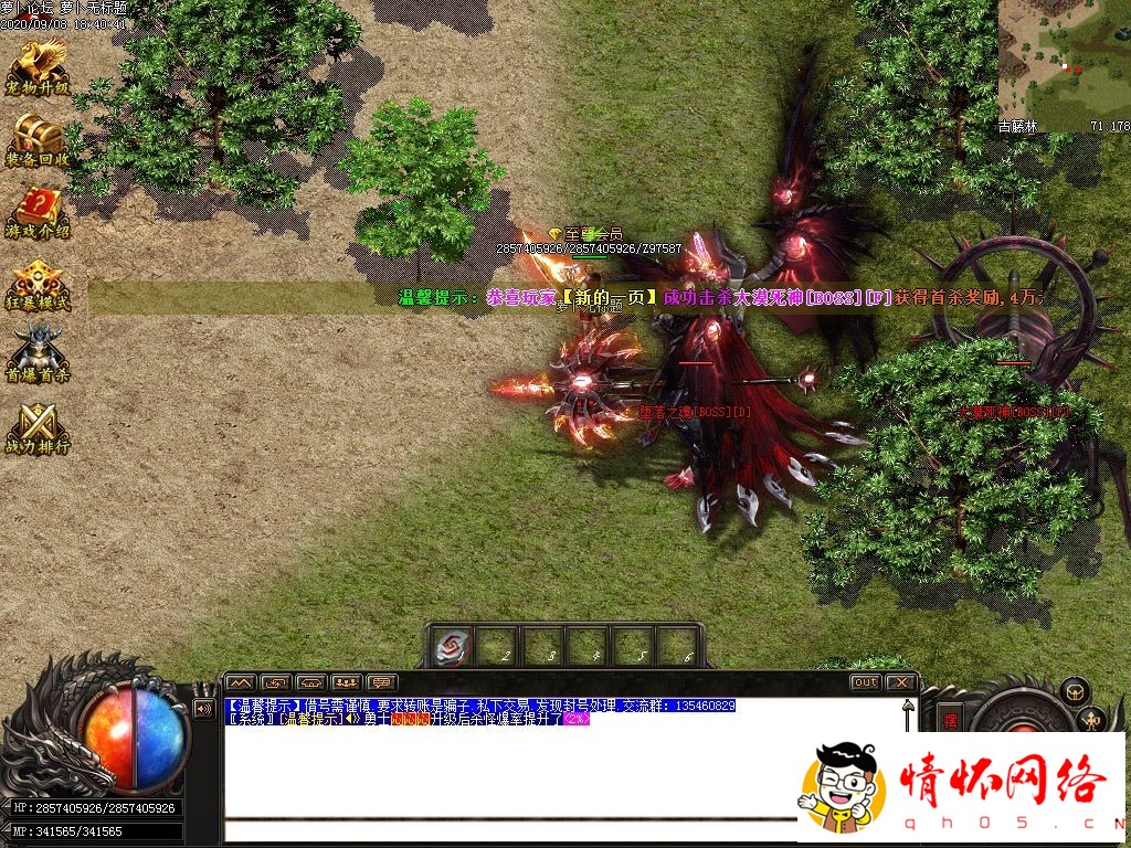 d14.jpg
